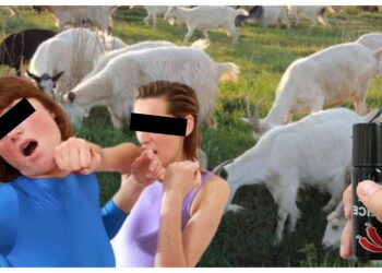 O suceveancă, care a luat-o la pumni pe o femeie de față cu polițiștii, a fost condamnată la o amendă penală de 3.000 de lei. Oamenii legii au folosit spray-ul lacrimogen față de agresoarea nervoasă pentru că niște capre i-au mâncat florile
