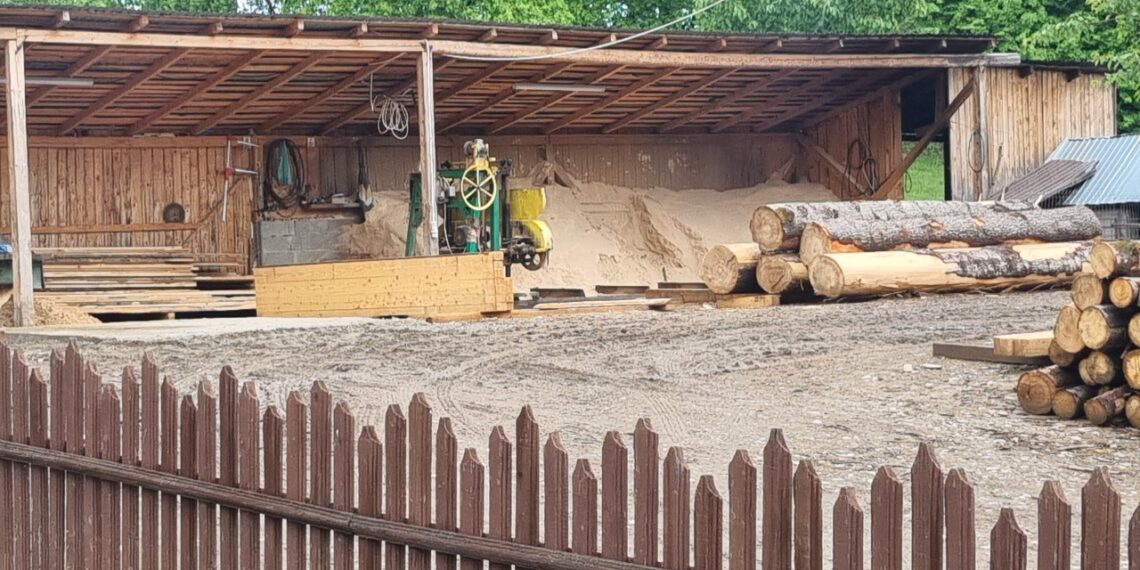 FOTO Garda de Mediu Suceava a amendat cu 10.000 de lei o persoană fizică care desfășura activități de debitare material lemnos, fără autorizație de mediu