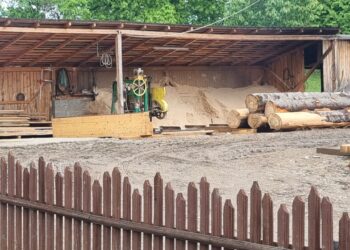 FOTO Garda de Mediu Suceava a amendat cu 10.000 de lei o persoană fizică care desfășura activități de debitare material lemnos, fără autorizație de mediu