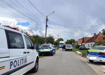 O ”războinică” din zona Rădăuți, care și-a bătut soacra cu sălbăticie, lovind-o cu pumnii, un baston și o cărămidă în cap, a fost condamnată la o amendă penală de 5.000 de lei. Fiul victimei nu a îndrăznit să intervină, de frică să fie din nou bătut de soția sa: ”O omoară pe mama și eu nu mă pot băga că am interdicție!”