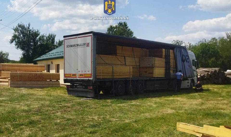 FOTO Polițiștii suceveni au indisponibilizat două ansambluri de vehicule pentru transport ilegal de material lemnos. Circa 200 de metri cubi de cherestea și bușteni, confiscați