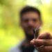 Opt luni de închisoare cu suspendare pentru un individ ce a fost întrerupt de polițiști când voia să fumeze un joint cu canabis, în zona Parcului Tătărași. Inculpatul a încercat să-și ”scape pielea”, băgându-l în bucluc pe prietenul său