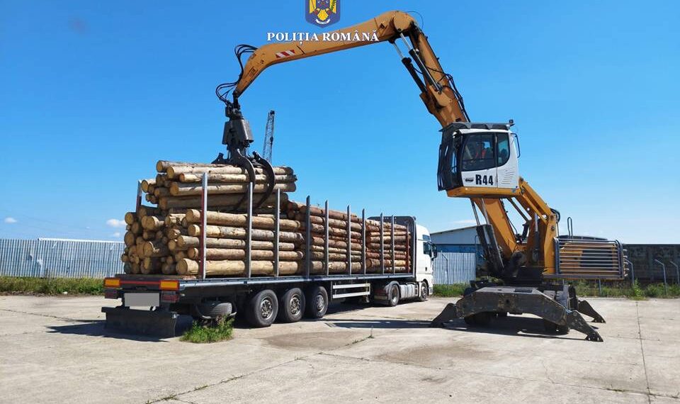 FOTO Transport ilegal de material lemnos, depistat în curtea fostului Schweighofer din Rădăuți. Polițiștii au confiscat peste 41 metri cubi de material lemnos și au indisponibilizat ansamblul de vehicule
