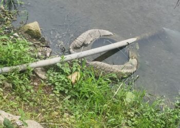 Garda de Mediu Suceava a luat la puricat o firmă care își varsă apa uzată menajer într-un pârâu. Inspectorii au aplicat amenzi în valoare de 85.000 de lei