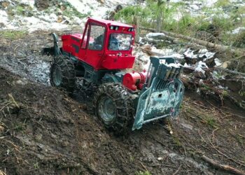 Justiția, pentru unii mumă, pentru alții ciumă. Decizie definitivă în dosarul penal deschis în 2016 față de mai mulți silvicultori care furau arbori dintr-o pădure din Vatra Dornei, simulând dezastre naturale. O singură persoană a fost condamnată la închisoare cu executare