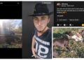 VIDEO Un an și șase luni de închisoare pentru un tânăr care și-a pus câinii să fugărească un iepure. Individul a filmat năzbâtia și s-a lăudat pe TikTok