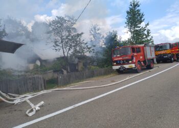 VIDEO O locuință din Văleni-Stânișoara a ars complet din cauza unui aragaz nesupravegheat. Pompierii au intervenit cu cinci autospeciale