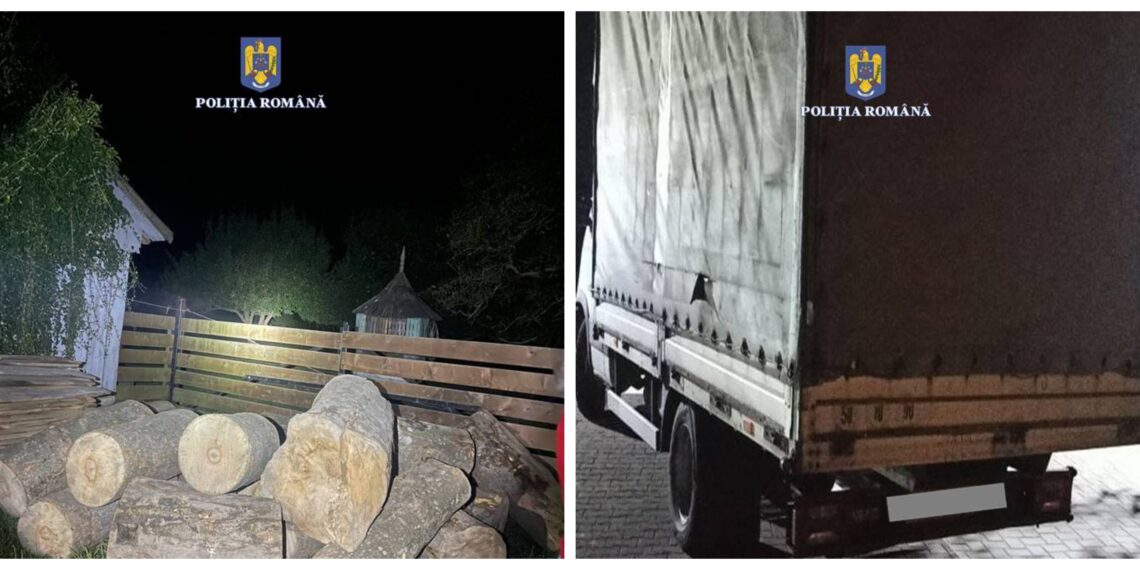 FOTO Un nou transport de lemn de esență rară, în valoare de circa 40.000 de lei, utilizat de meșterii lutieri pentru confecționarea instrumentelor muzicale, confiscat de polițiștii din Marginea