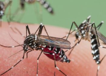 Încă un caz de infecție cu virusul West Nile, la Spitalul Clinic Județean de Urgență Suceava