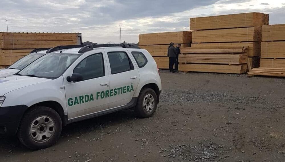 FOTO Garda Forestieră Suceava a confiscat 127 de metri cubi de material lemnos, cu ocazia efectuării a șase controale