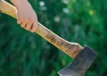 Alcoolul i-a luat mințile unui bărbat din Șcheia. Individul și-a amenințat cumnatul cu o bărdiță și cu incendierea locuinței