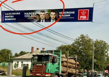 FOTO Transport ilegal de material lemnos, semnalat de activistul de mediu Daniel Bodnar, în comuna Ciprian Porumbescu. Polițiștii l-au amendat pe șofer cu peste 6.300 de lei