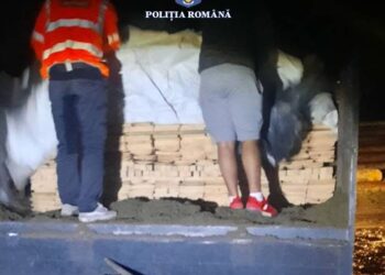 FOTO Polițiștii suceveni i-au încurcat socotelile unui botoșănean care transporta ilegal material lemnos. Cheresteaua era acoperită cu nisip