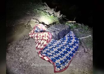 FOTO Țigări în valoare de peste 64.000 de lei, abandonate la frontiera de nord