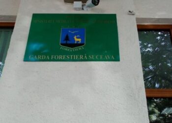 Un consilier șpăgar de la Garda Forestieră Suceava a fost arestat preventiv și alți patru au fost plasați sub control judiciar. ”Blândețea” acestora îi costa pe agenții economici între 300 și 5.000 de lei