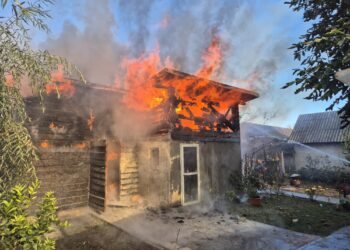 FOTO Pompierii militari din Siret au intervenit la un incendiu în localitatea botoșăneană Mihăileni. Proprietarul a încercat să igienizeze adăpostul de păsări cu un arzător cu gaz