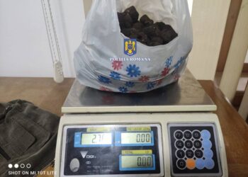 FOTO Cinci bărbați din Preutești au fost amendați cu 20.000 de lei pentru că au cules trufe ilegal