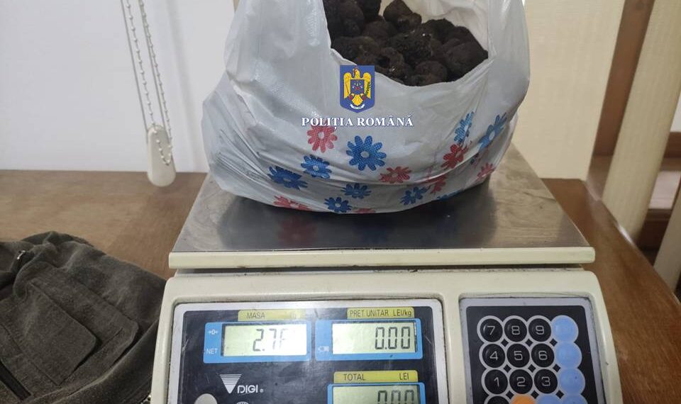 FOTO Cinci bărbați din Preutești au fost amendați cu 20.000 de lei pentru că au cules trufe ilegal