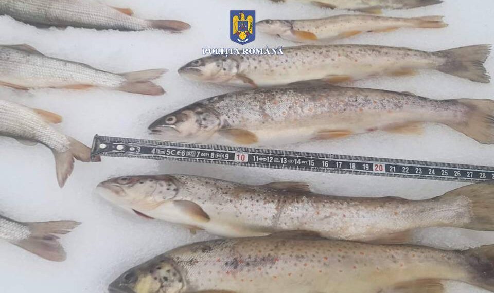 FOTO Bărbați bănuiți de braconaj piscicol, prinși în flagrant de polițiști pe raza localității Fundu Moldovei, pe albia râului Moldova