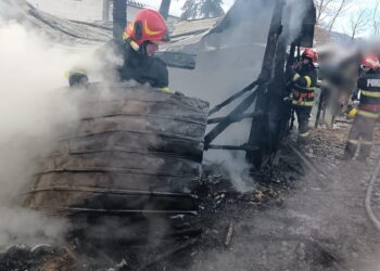FOTO Incendiu la o casă din Voitinel. Doi copii au fost găsiți fără viață în locuință