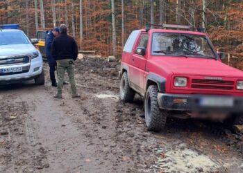 FOTO Jandarmii au împiedicat doi bărbați să recolteze ilegal trufe dintr-o pădure din zona Câmpulung Moldovenesc. Indivizii au fost amendați cu câte 500 de lei
