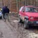 FOTO Jandarmii au împiedicat doi bărbați să recolteze ilegal trufe dintr-o pădure din zona Câmpulung Moldovenesc. Indivizii au fost amendați cu câte 500 de lei