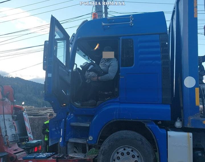 FOTO Polițiștii suceveni au indisponibilizat vehicule în valoare de 150.000 de euro în cadrul unui dosar complex privind infracțiuni la regimul silvic și fapte asociate