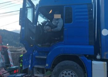 FOTO Polițiștii suceveni au indisponibilizat vehicule în valoare de 150.000 de euro în cadrul unui dosar complex privind infracțiuni la regimul silvic și fapte asociate