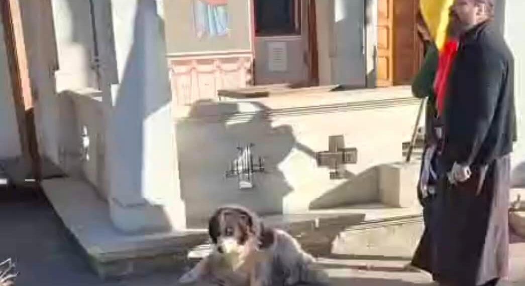 Câine gonit din curtea Mănăstirii ”Sf. Ioan cel Nou” de la Suceava, prin lovirea acestuia cu piciorul. ÎPS Calinic: ”Nu cred că ar fi trebuit să i se întindă covor roșu ca să intre și în biserică. Ori să fie luat în brațe și purtat ca pe sfintele moaște”