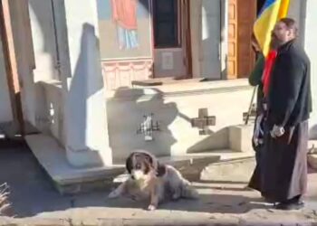 Câine gonit din curtea Mănăstirii ”Sf. Ioan cel Nou” de la Suceava, prin lovirea acestuia cu piciorul. ÎPS Calinic: ”Nu cred că ar fi trebuit să i se întindă covor roșu ca să intre și în biserică. Ori să fie luat în brațe și purtat ca pe sfintele moaște”