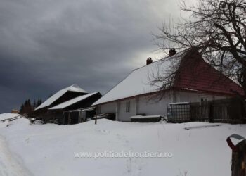 Arme şi muniţie, descoperite de poliţiştii de frontieră în urma unor percheziţii domiciliare în comuna Ulma