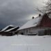 Arme şi muniţie, descoperite de poliţiştii de frontieră în urma unor percheziţii domiciliare în comuna Ulma