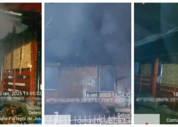Prejudiciu de circa 150.000 de lei, în urma incendiului izbucnit la o casă din Deleni – Pârteștii de Jos. Incendiul a pornit din cauza echipamentelor de iluminat electric improvizate