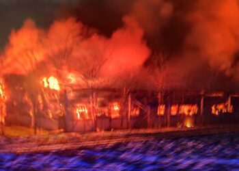 Incendiu devastator la o fermă de animale din Vornicenii Mici, pe o suprafață de circa 3.500 de metri pătrați. În interior s-ar fi aflat peste 5.000 de porci