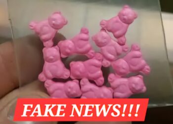 Atenție la fake news! O veche farsă din SUA despre ”metamfetamina de căpșuni” provoacă panică în rândul părinților din România