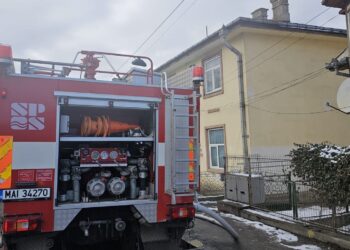 O bătrână de 83 de ani și un cățel au fost găsiți carbonizați într-o locuință din Gura Humorului. Incendiul a izbucnit de la o candelă aprinsă și lăsată nesupravegheată