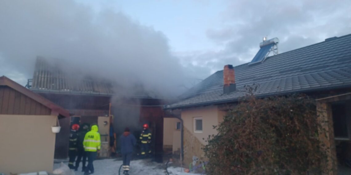 Incendiu la o gospodărie din Hârtop. Au pierit circa 100 de pui de găină de o zi