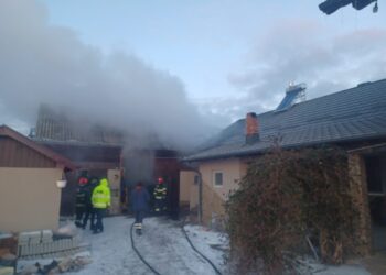 Incendiu la o gospodărie din Hârtop. Au pierit circa 100 de pui de găină de o zi