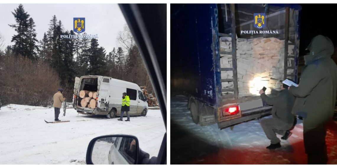 Transporturi de lemn confiscate de către polițiști. IPJ Suceava: ”Atenție la modificările legislative în domeniul silvic!”