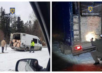 Transporturi de lemn confiscate de către polițiști. IPJ Suceava: ”Atenție la modificările legislative în domeniul silvic!”