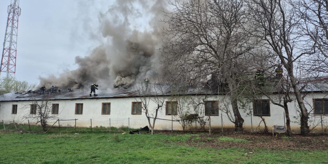 Detalii despre incendiul care a distrus o hală de producție de mobilier din Ipotești. Prejudiciul este estimat la 300.000 de lei