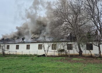 Detalii despre incendiul care a distrus o hală de producție de mobilier din Ipotești. Prejudiciul este estimat la 300.000 de lei