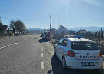 Razie de amploare pe raza municipiului Vatra Dornei. 22 de permise reținute, amenzi în valoare de peste 130.000 de lei și peste 100 metri cubi de material lemnos confiscat