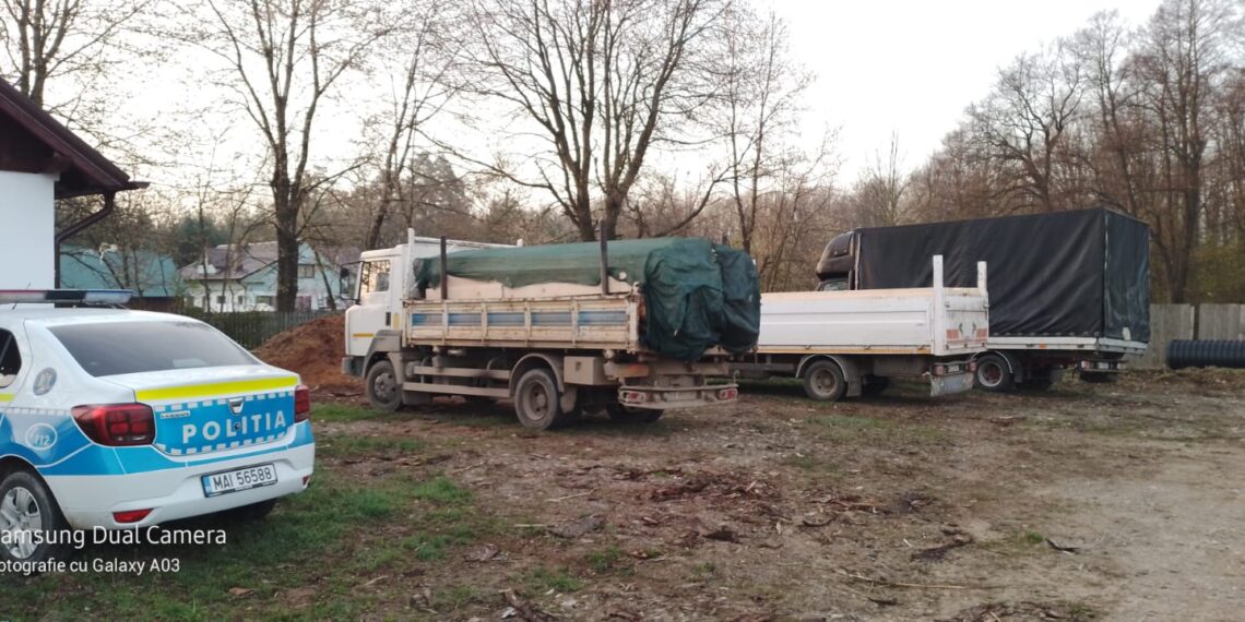 Cinci transporturi de lemn confiscate de către polițiștii din Vadu Moldovei într-o singură zi