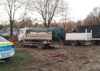 Cinci transporturi de lemn confiscate de către polițiștii din Vadu Moldovei într-o singură zi