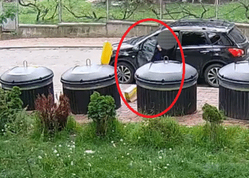 Suceava, batjocorită de un șofer prea comod ca să-și miște fundul până la buncăr: ”Un astfel de comportament nu ține de lipsa timpului, ci de lipsa de respect pentru oraș”