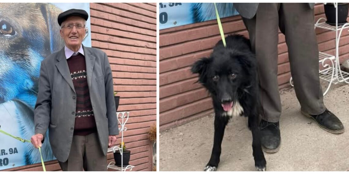 Gest impresionant! Un bătrân de 92 de ani a adoptat un câine de la Adăpostul Public Suceava: ”Ne-a luminat ziua, gândurile, optimismul și mai ales speranța că se poate”