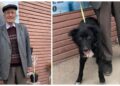 Gest impresionant! Un bătrân de 92 de ani a adoptat un câine de la Adăpostul Public Suceava: ”Ne-a luminat ziua, gândurile, optimismul și mai ales speranța că se poate”