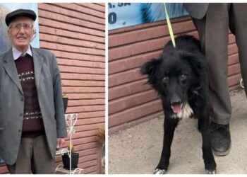 Gest impresionant! Un bătrân de 92 de ani a adoptat un câine de la Adăpostul Public Suceava: ”Ne-a luminat ziua, gândurile, optimismul și mai ales speranța că se poate”