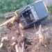 Muncitor prins sub un excavator răsturnat la Rădășeni. Victima scotea niște pomi